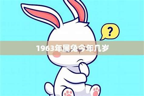 1963 年生肖|1963年属什么生肖？